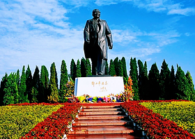 【私家团】纯玩深圳城市观光一天游<莲花山公园+欢乐港湾+南头古城+外观世界之窗+深圳博物馆>佛山出发+深圳2线