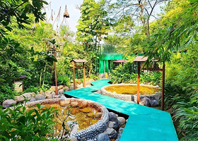 【度假套餐】近清远长隆度假区8分钟车程★清远银盏君澜温泉酒店+畅泡森林温泉+银盏森林营地，可加清远长隆森林王国