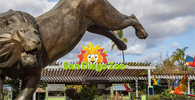 圣地亚哥动物园一日游【美国加州圣地亚哥动物园门票，搭乘双层巴士无限次导览，搭乘空中缆车，翱翔于动物园上空】