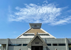 河南博物院大咖真人讲解2小时+门票