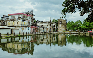 【私家团+珠海&佛山/接送】开平自力村碉楼群+先锋书店+仓东村+塘口墟天下粮仓+酱油稻田咖啡1日游<江门6线>