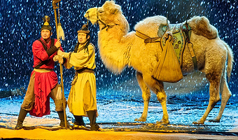 秦始皇帝陵博物院(兵马俑)+《驼铃传奇》秀一日游【【超级特惠】含2小时讲解/赠送兵马俑至驼铃直通车  】