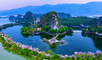 【私家团包游+上门接送】纯玩肇庆七星岩+鼎湖山一天游<避暑胜地/亲人/情侣/家庭/友人之选>+东莞出发