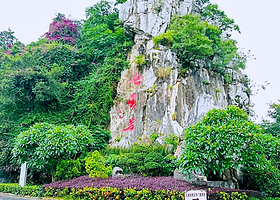 【私家团包游+上门接送】纯玩肇庆七星岩+鼎湖山一天游<避暑胜地/亲人/情侣/家庭/友人之选>+深圳出发