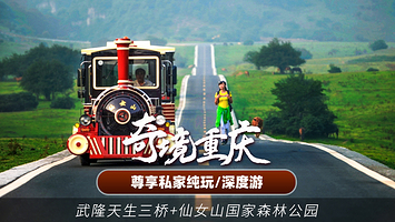 【可选导游】武隆天生三桥+仙女山+乌江画廊-涪陵段一日游（私家不拼团晚出发丨含大门票+往返车+行中管家）