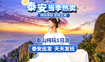 泰安泰山风景区+中天门+碧霞祠一日游【泰安发-泰山一日游 精品小团/优秀导游】