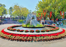 【私家团+深圳/中山接送】外观广州塔+白云山+广州博物馆+陈家祠+永庆坊+沙面1日游<广州1线>