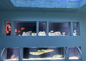 【酒店套餐】限时特惠|康铂酒店（深圳龙华大浪商业中心店）1晚+深圳恒远海立方环游城单次票（可选人群）