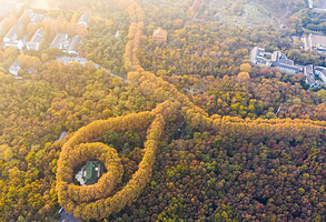 美龄宫VIP私享导览|60分钟民国穿越之旅·免排队·中英双语服务