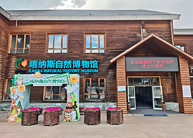 喀纳斯自然博物馆DIY手作