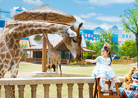 【官方畅销】郑州银基动物王国/郑州银基冰雪世界/银基乐海神话世界/银基黄帝宫御温泉自选+冰雪酒店1或2晚