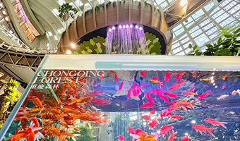 【拼小团】重庆轻轨穿楼+磁器口+光环+川剧民俗演出+十八梯一日游【重庆山城漫游记2-8人精品团】