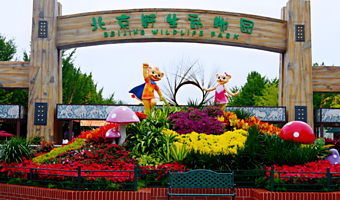 北京野生动物园一日游【北京野生动物园*可选含门票+往返直通车*景区快速直达+可选私家团包车*随时出发】