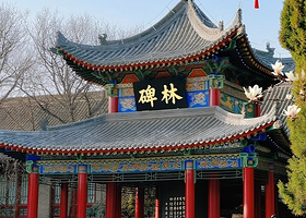 大咖深度讲解2小时-西安碑林博物馆【含门票预约+多场次可选+无线耳麦使用-听清讲解无压力-纯游玩】