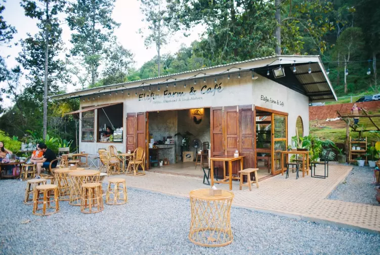 Elefin Farm 大象咖啡是本地人私藏的宝藏咖啡农场。这里没有商业化表演，只有自由漫步的象群、绿意盎然的山景