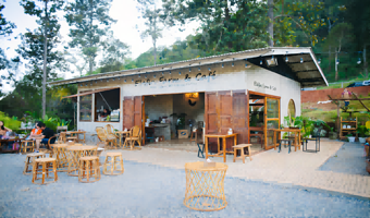 【 酒店接送 多套餐可选  】Elfin Farm大象咖啡+夜间动物园 粘粘瀑布 Elery 咖啡馆 半日游