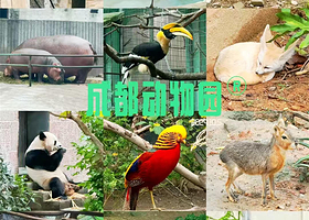 【距北门400米】海滨铂雅酒店(成都动物园店)住1晚+成都动物园门票+免费停车