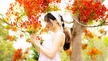 中国科学院西双版纳热带植物园一日游【2-9人拼小团丨拼西区15人讲解丨市区酒店接送丨品质纯玩0购物】