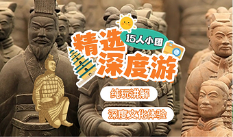 纯玩深度讲解5小时【15人小团】兵马俑+丽山园铜车马+含耳麦