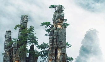 张家界大峡谷景区(玻璃桥)一日游【16人团】