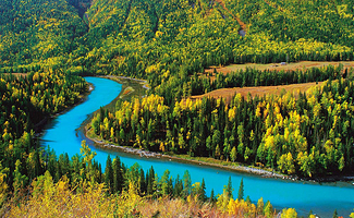 禾木风景区+喀纳斯景区+五彩滩【金秋喀纳斯尽享秋景】三日游