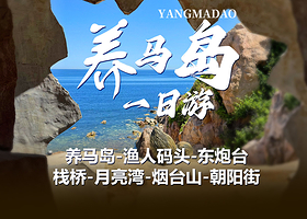 养马岛旅游度假区+烟台海昌渔人码头+烟台山+烟台海昌鲸鲨海洋公园一日游【【0购物0自费】可选小团一日游】