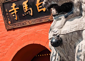 洛阳白马寺一日游【含门票+导游+无线耳麦【多场次可选】沉浸式古刹之旅 礼佛文化体验【 无购物纯玩团】】