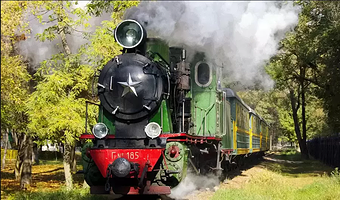 墨尔本普芬比利蒸汽火车+菲利普岛+企鹅归巢一日游【看神仙小企鹅结队归巢，体验森林穿梭之旅】