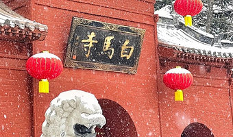 洛阳白马寺一日游【20-30人团场次、可选含门票，资深导游深度讲解2小时，全程配备无限耳麦】