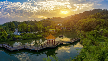 【酒店套餐】云浮新兴龙山温泉酒店+双人自助早餐+无限次深谷温泉+鱼疗+水疗SPA门票+六祖禅茶礼盒+参观国恩寺