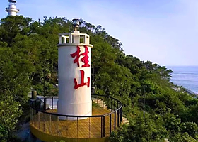 九洲港-桂山岛单去程/单回程