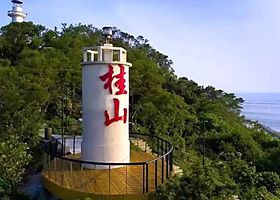 深圳蛇口-桂山岛单去程