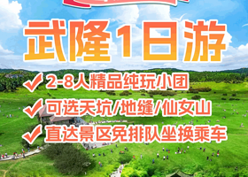 【8人拼小团全新车】重庆武隆天生三桥/龙水峡地缝/仙女山纯玩一日游