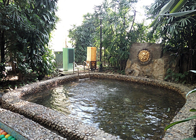 【酒店套餐】2大1小龙熙温泉水世界不限次+北京龙熙维景国际会议中心1晚+双早