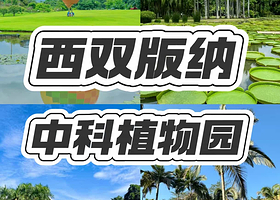 一日游【云南西双版 中科植物园＋电动车往返接送 | 线上管家服务】