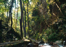 腾冲高黎贡山五道溪徒步一日游【5KM 逆溪追溯 2-6人小团】