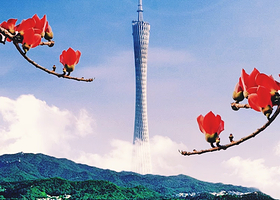 广州出发-广州博物馆陈家祠永庆坊沙面白云山-1日游/私家团