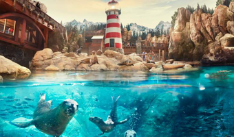 阿布扎比海洋世界+阿布扎比法拉利世界主题乐园+阿布扎比华纳兄弟主题公园+亚斯水世界一日游【亚斯岛乐园门票任选】