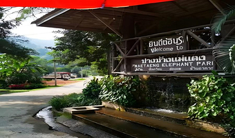 【酒店接送  骑大象 大象表演】  清迈湄登大象营一日游 中文导游 竹筏漂流 大象呵护