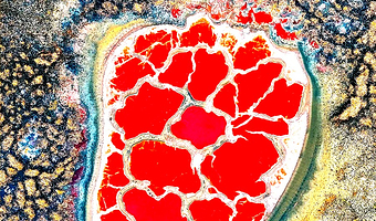 阿拉善盟腾格里沙漠五湖穿越乌兰湖+天鹅湖一日游【赠无人机航拍✦五湖门票✦滑沙项目+越野冲沙✦防沙头巾】