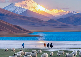 羊卓雍错+卡若拉冰川一日游【含午餐·可选普通团、领队团、8人团】