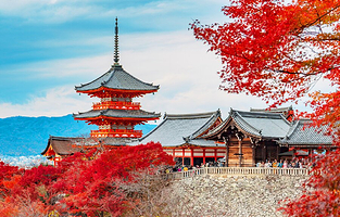 京都清水寺+二三年坂-石塀小路-祗园+金阁寺+伏见稻荷大社一日游【自营商品·可升级接送服务】