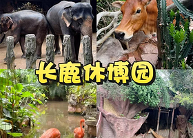 【佛山顺德长鹿度假村】住1晚+ 2人自助早餐+入园观光票+动物园门票+水世界门票+代金券