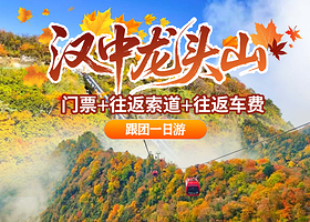 龙头山国际旅游度假区一日游【门票+往返索道+往返车费丨全程高速】
