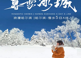 暮雪冰城|哈尔滨+雪乡+冰雪大世界+亚布力纯玩5日【私家专享一家一团，不拼人！1V1滑雪教练2小时丨含接送机】