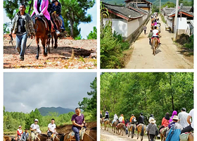 一日游【拉市海一日游】