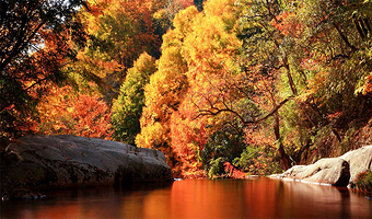 十八月潭景区一日游【已含景区门票+景交车  汉中出发】