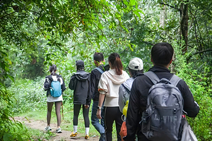 高黎贡山青岩子一日游【壮观瀑布群 烤肉 游泳 拼小团】