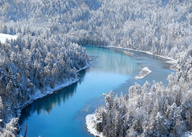 喀纳斯景区+禾木风景区+赛里木湖六日游【湖山牧歌·秋日童话纪行-乌鲁木齐起止6日游2-6人拼小团】