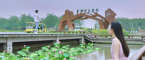 【秋季错峰】金湖水上森林·港府君澜温泉度假酒店1晚+2大1小早餐+金湖水上森林景区门票3张+庭院私汤（可选）